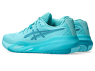 gel-resolution x